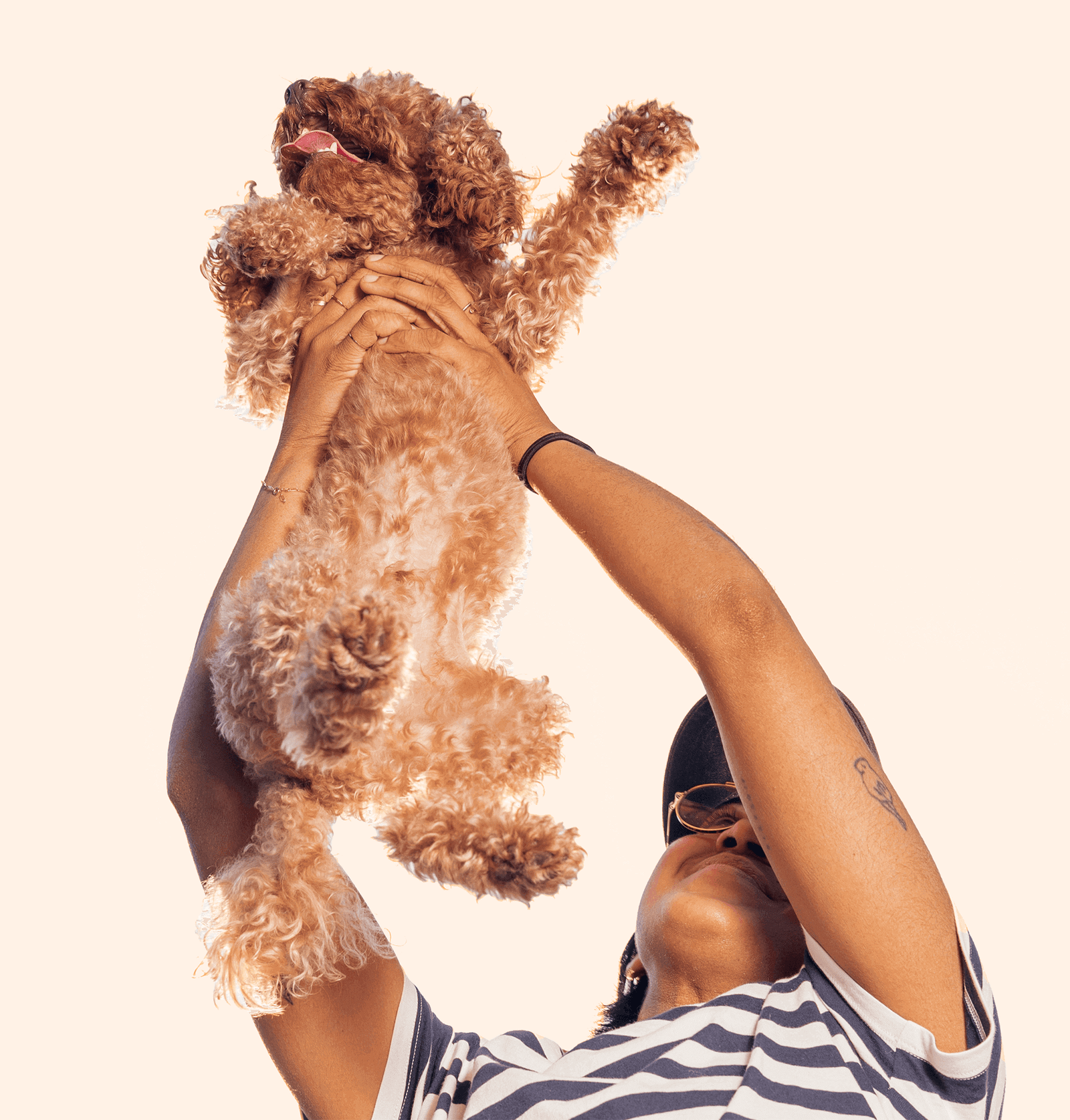 person holding up puppy