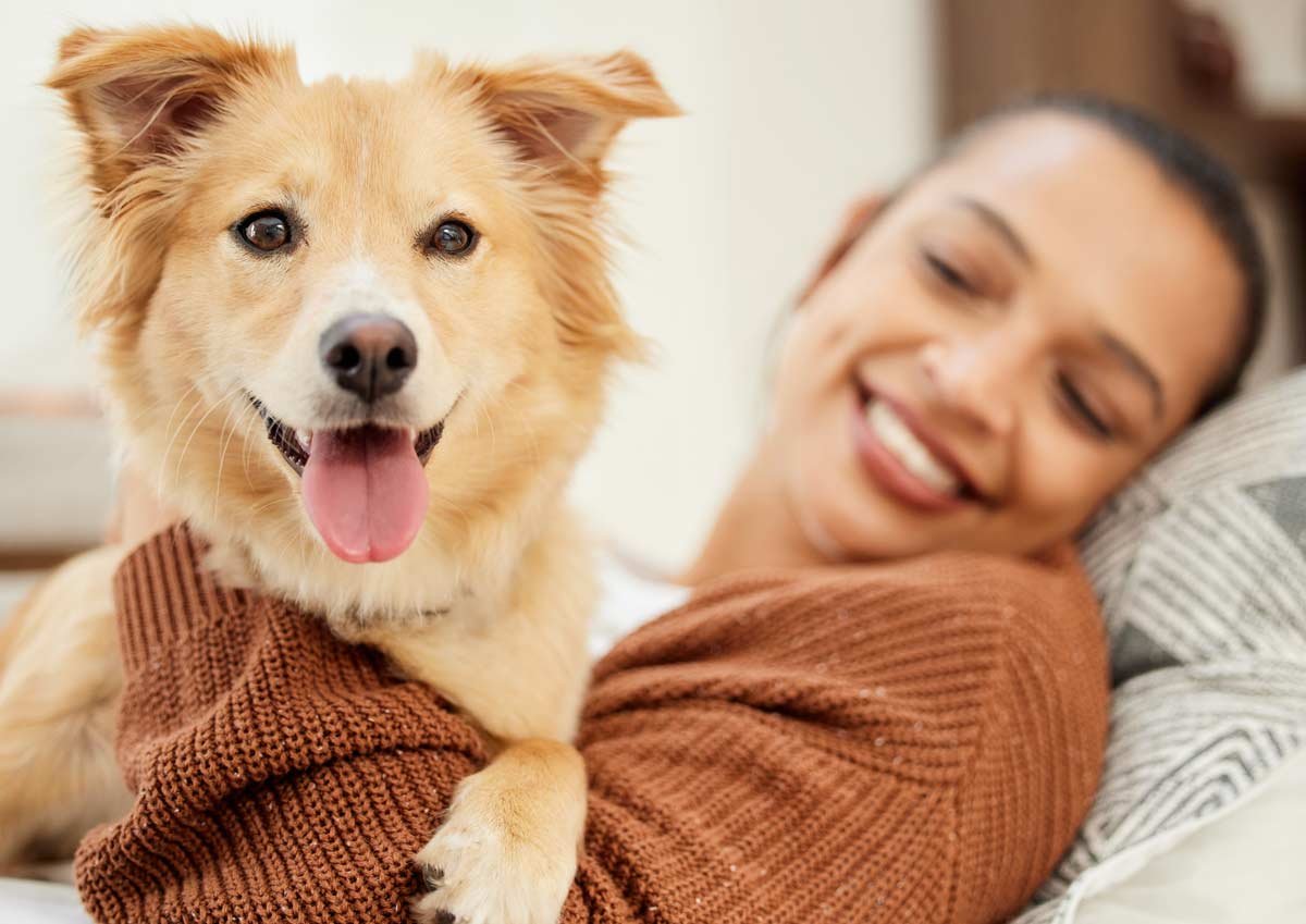 Veterinary Services Promotions
